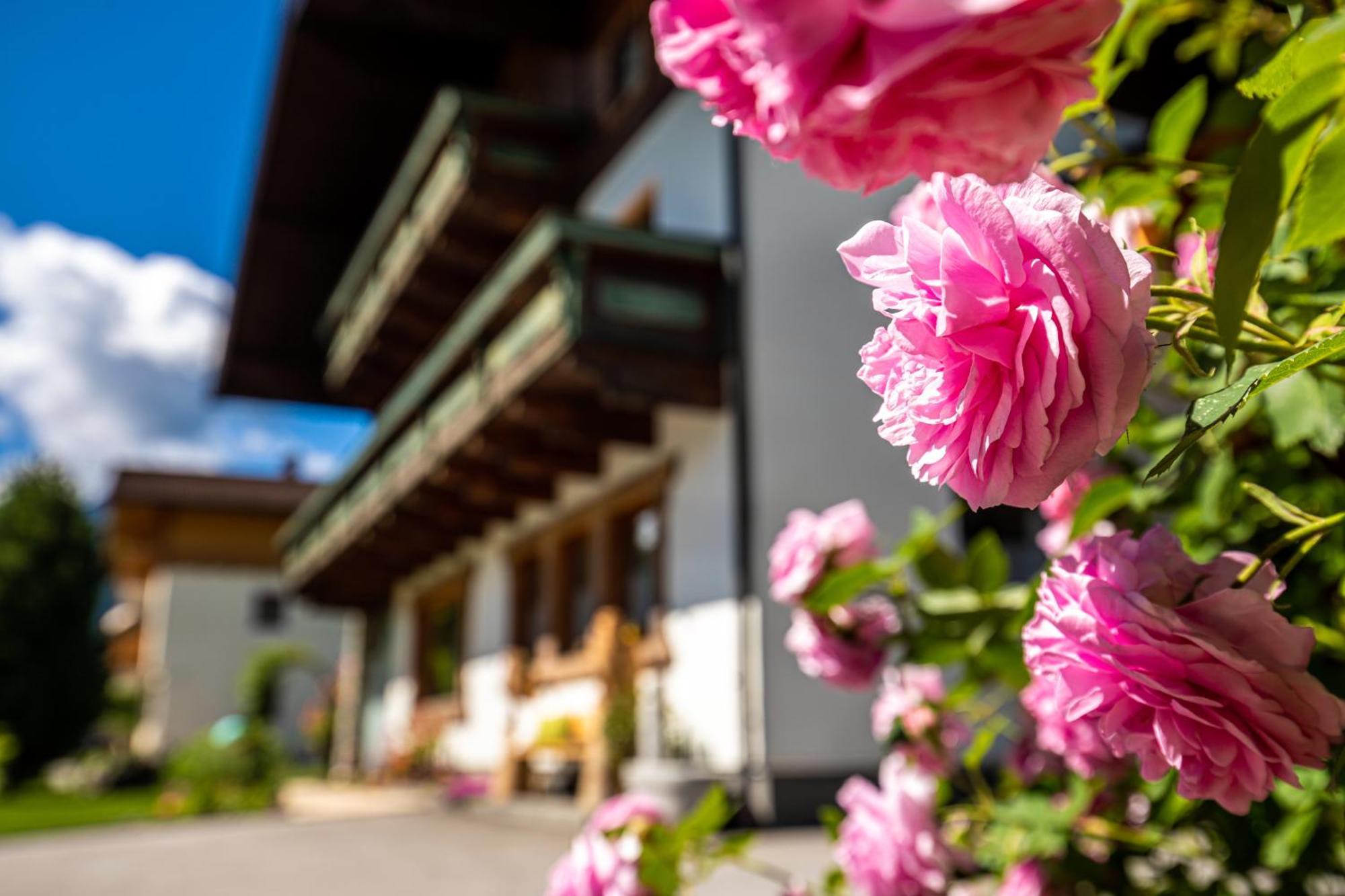 Holiday Im Gaestehaus Warter In Altenmarkt Altenmarkt im Pongau Εξωτερικό φωτογραφία